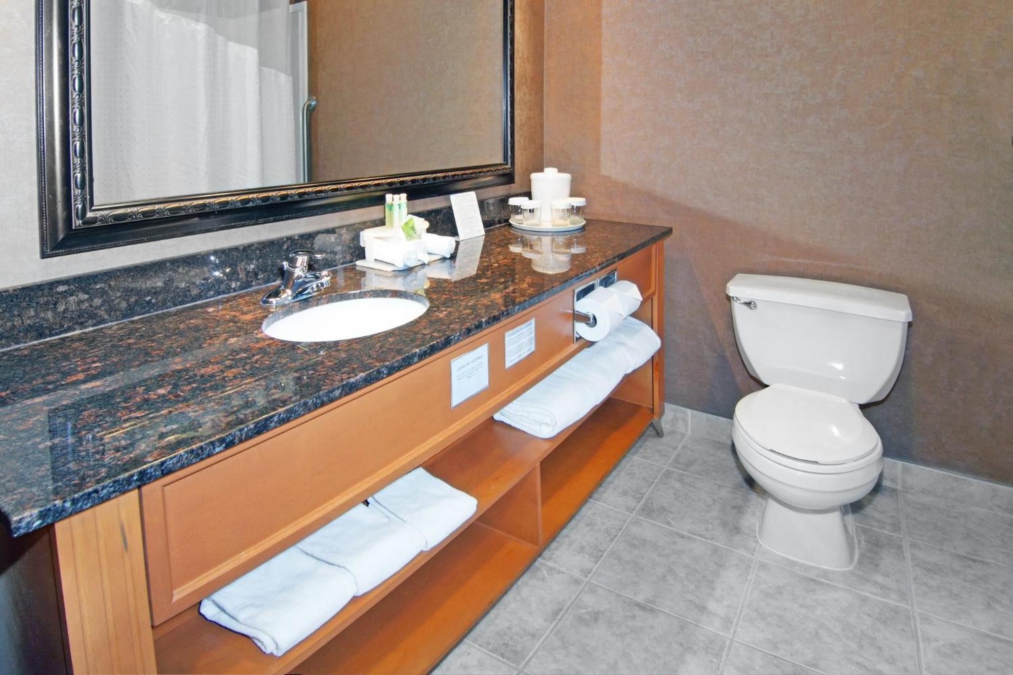 Holiday Inn Express Calgary South By Ihg Εξωτερικό φωτογραφία