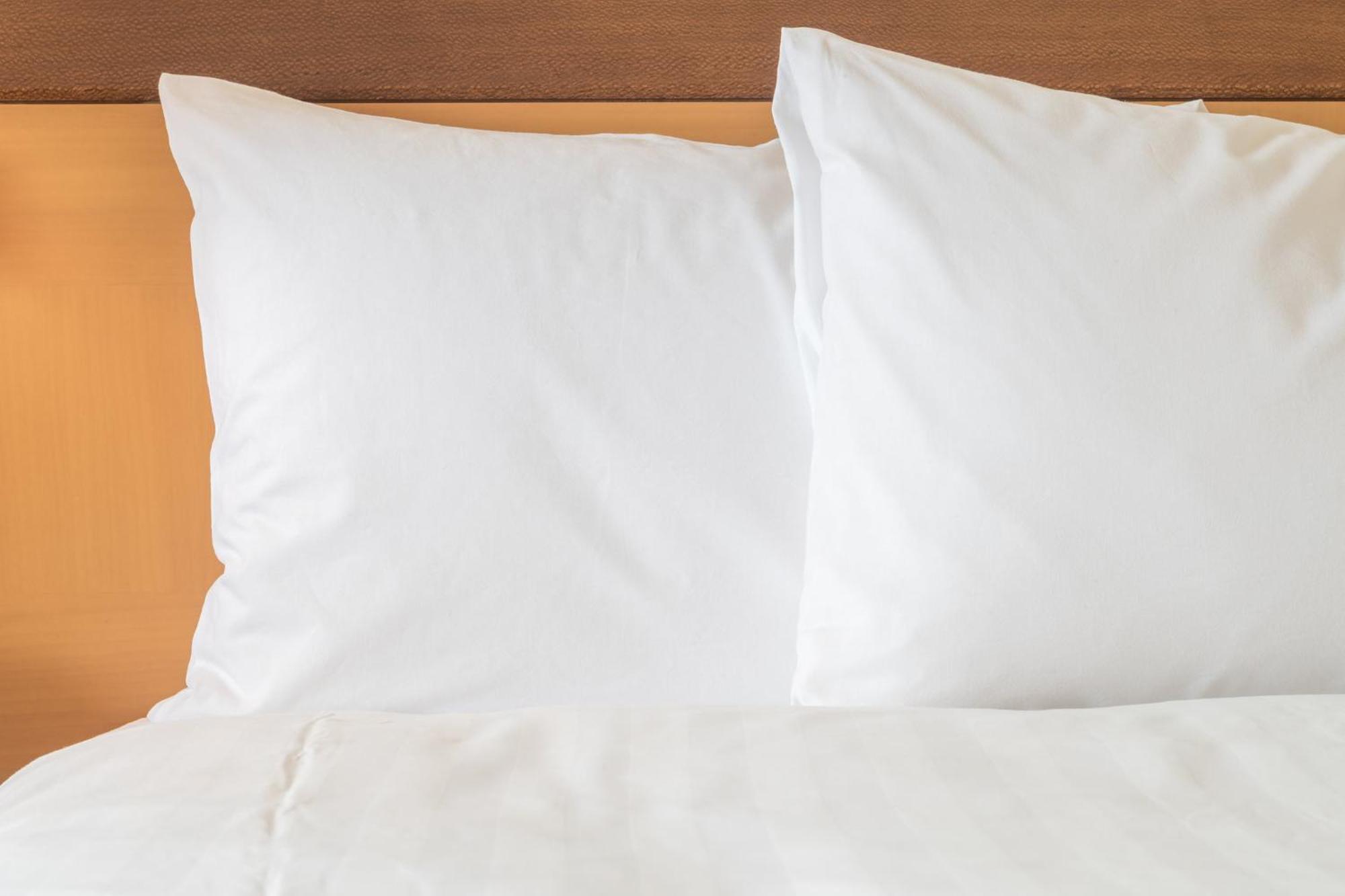 Holiday Inn Express Calgary South By Ihg Εξωτερικό φωτογραφία